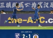 国安再战泰达，两队都渴望亚冠资格的加持的简单介绍