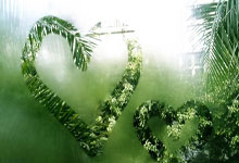 关于美国女足备战决赛，全队齐心协力争取夺冠的信息